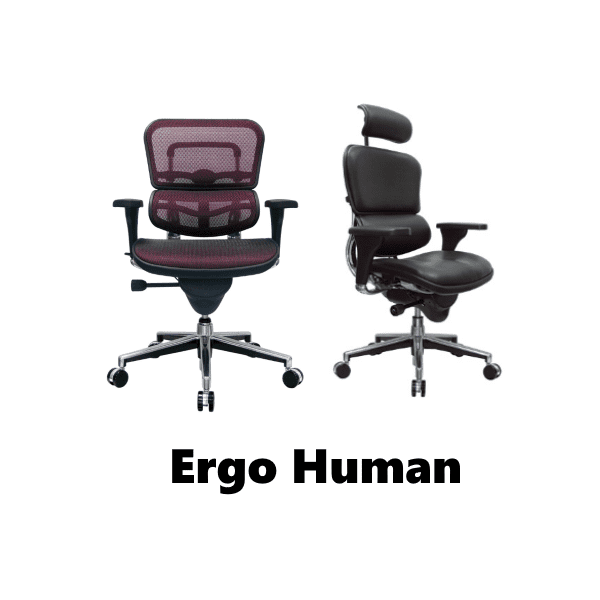 Ergo Human