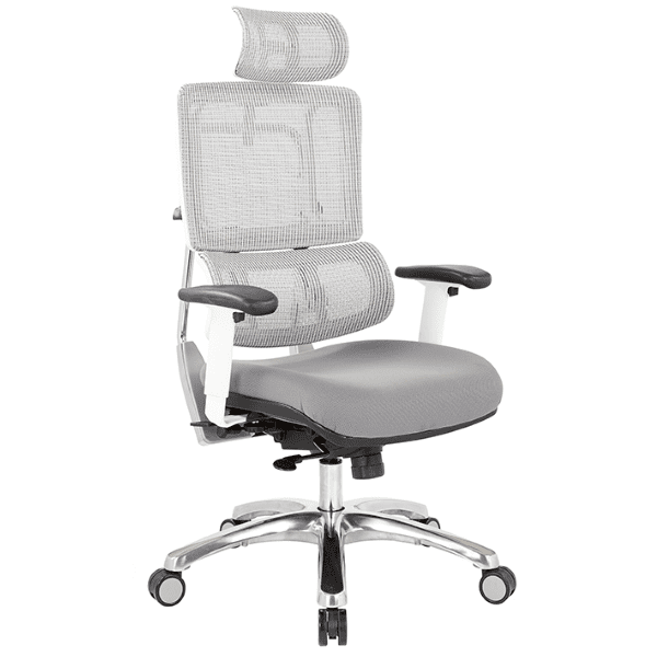 Vertical Mesh Task Chair with Headrest