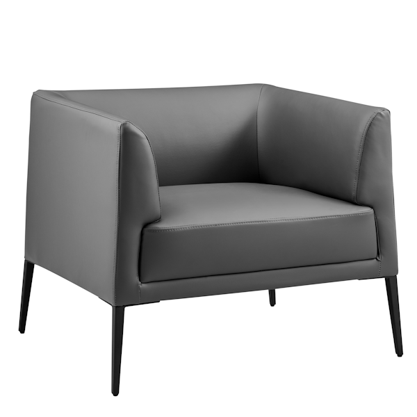 Dark Gray Lounge Chair
