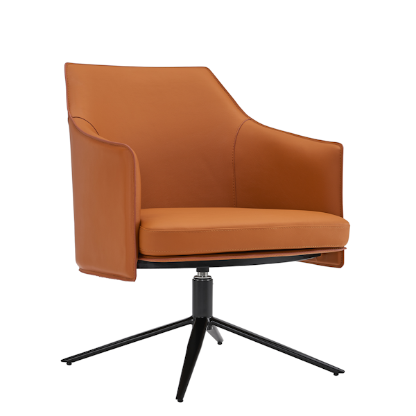 Euro Style Signa Chair