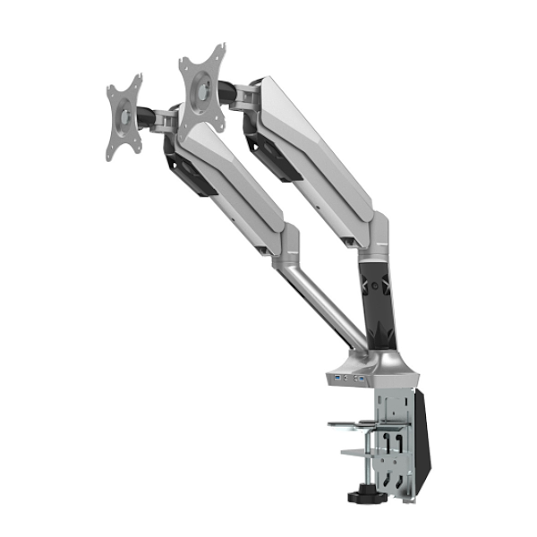 Silver Monitor Arms