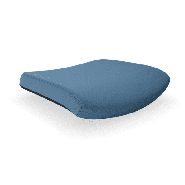 Blue Seat cushion