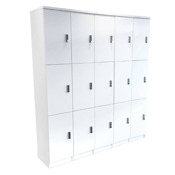 15 locker unit