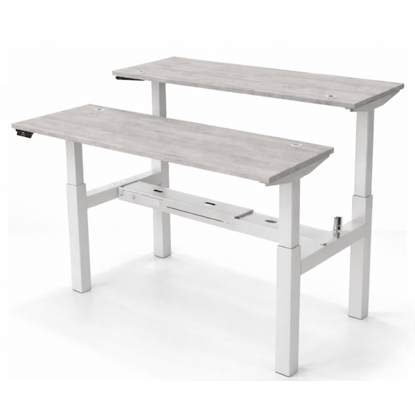 Double Bank Sit-Stand Team Desk for 2 People